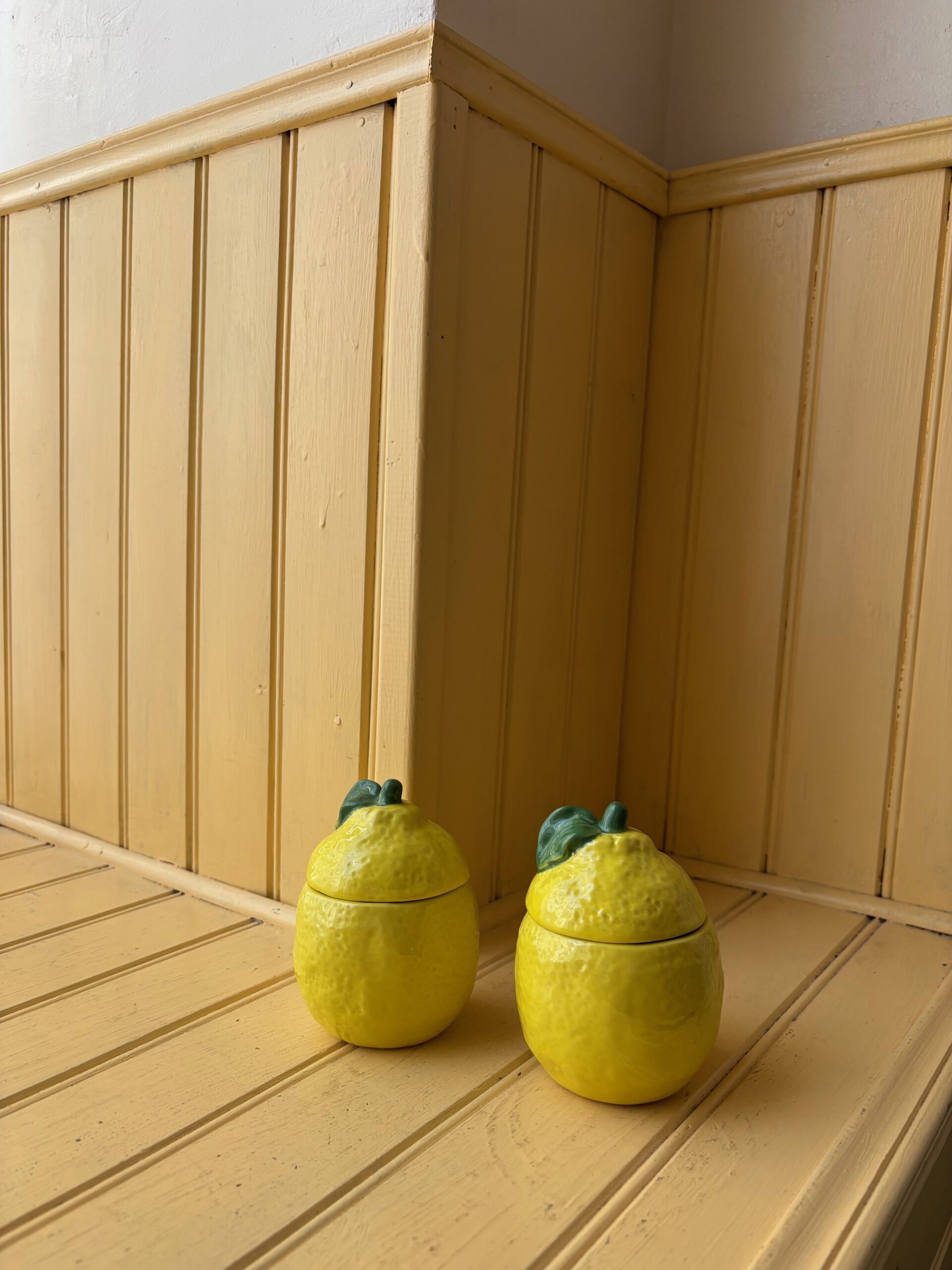 FLEUX - POTS CITRONS